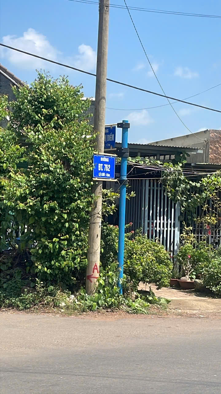 1784523252835_648485484675942575_6229230212292221730_19aeeba05bd05cf0e93f99e21cdd1a79