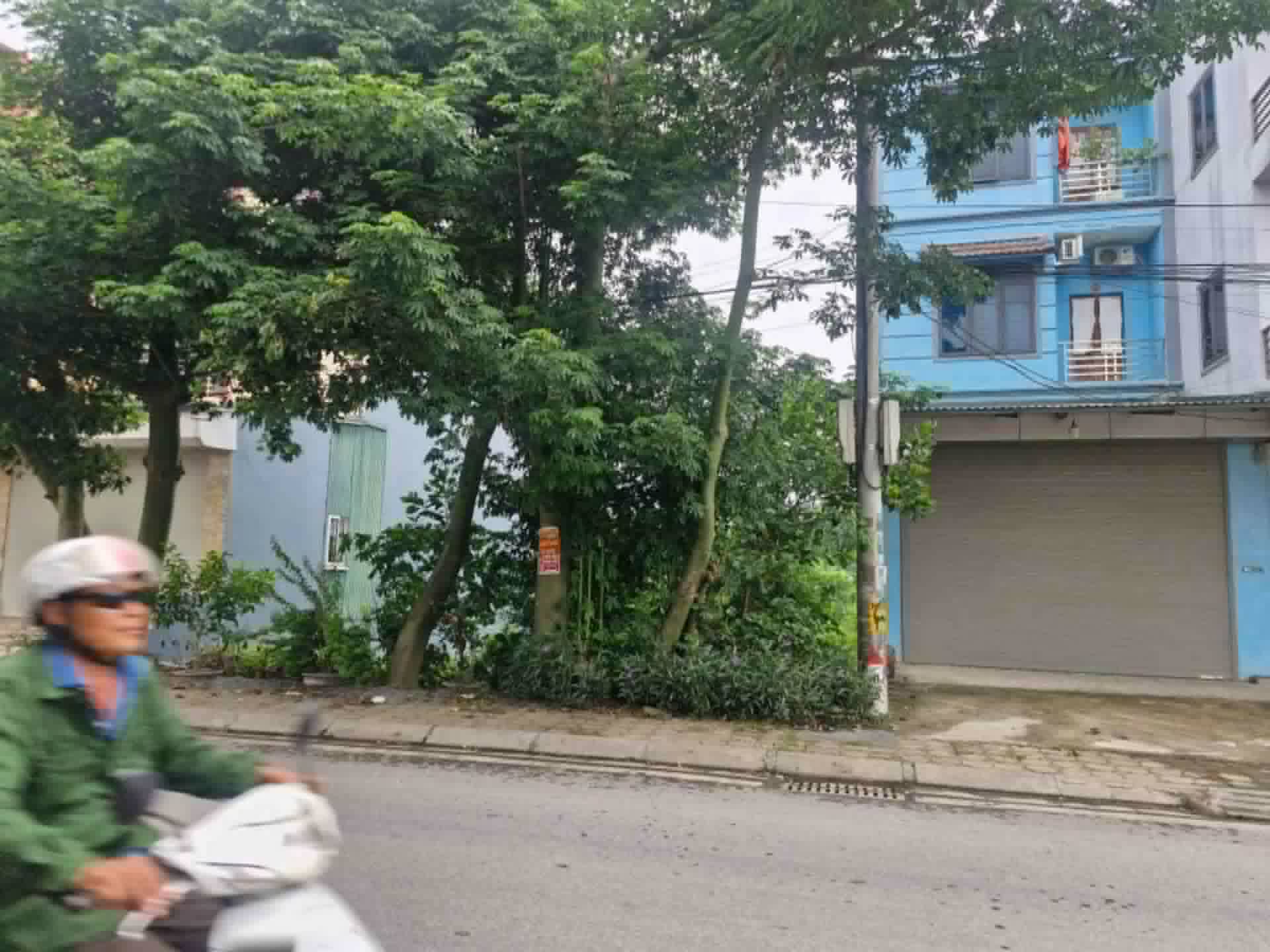 âu cơ