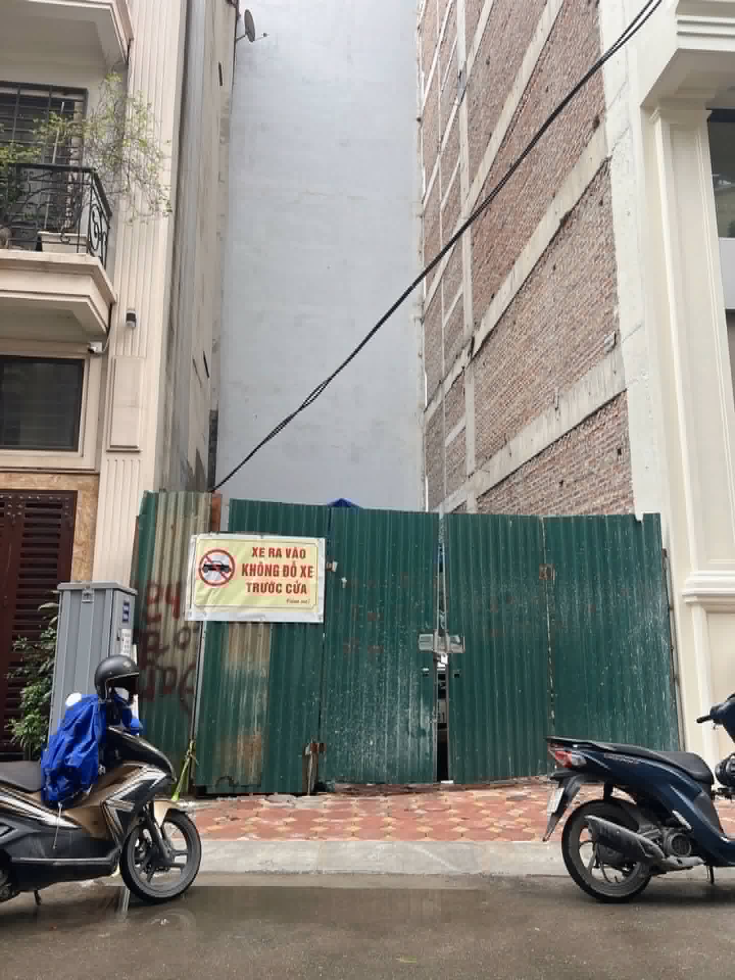 d cổ